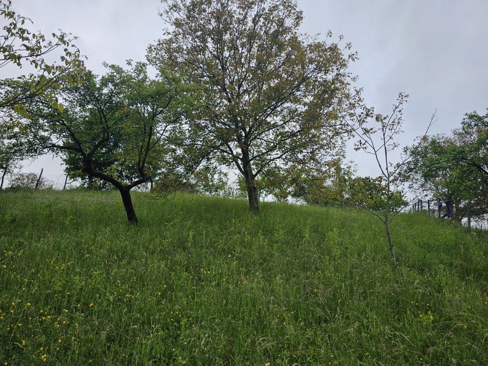 Casa vila cu 10 camere, loc Izbuc, Bihor