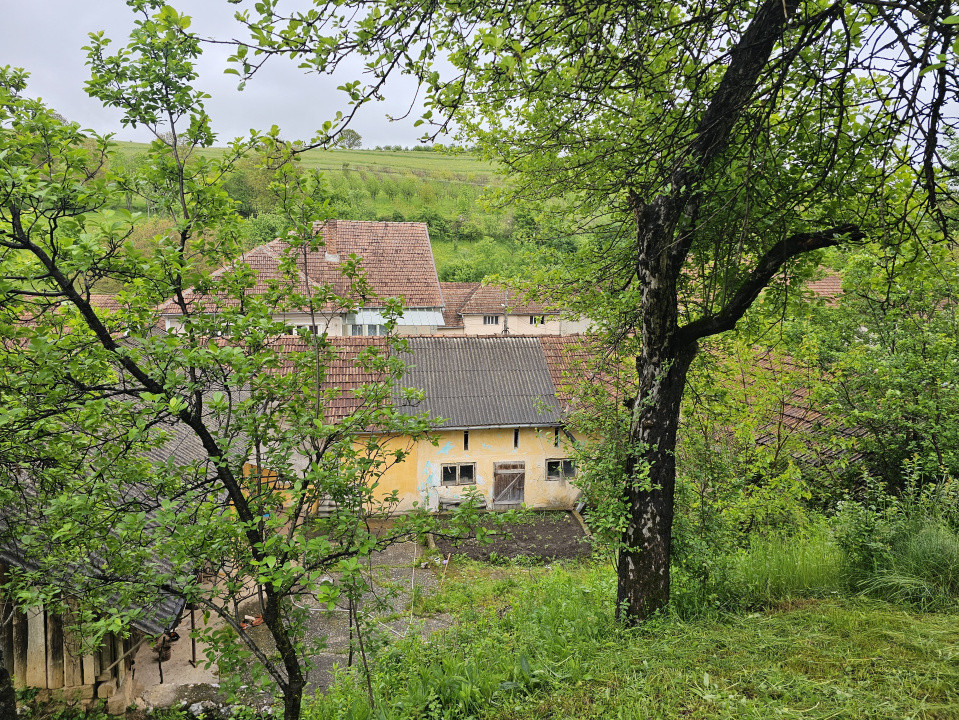 Casa vila cu 10 camere, loc Izbuc, Bihor