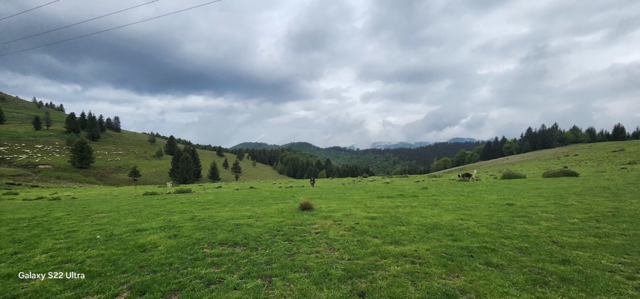 Parcele de vis în munți – Zonă Arka Park, cu drum de acces și PUZ aprobat
