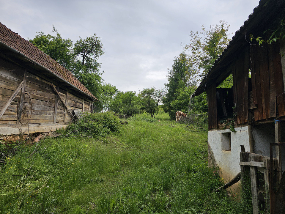 Casa de vacanta cu 4 camere în localitatea Izbuc, județul Bihor 