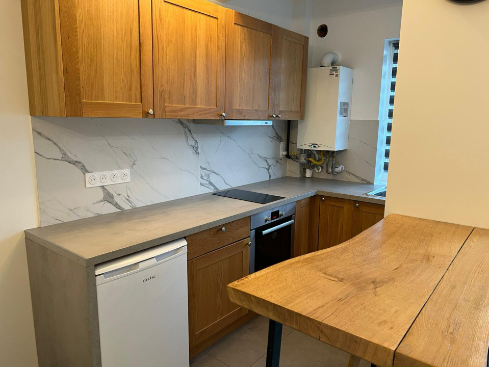 Apartament cu o Camera Petre Dulfu