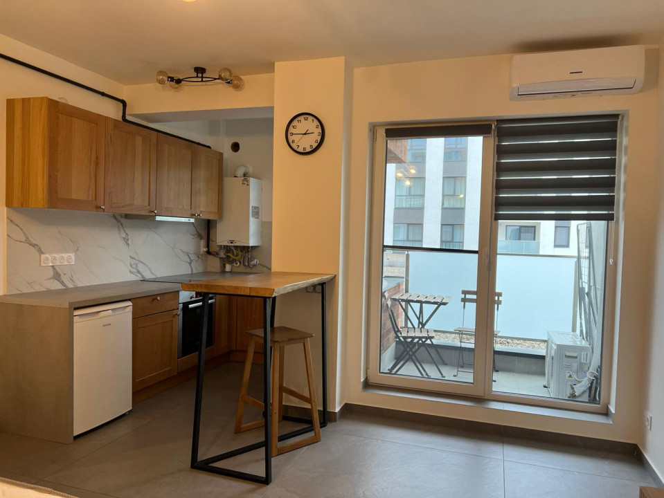 Apartament cu o Camera Petre Dulfu