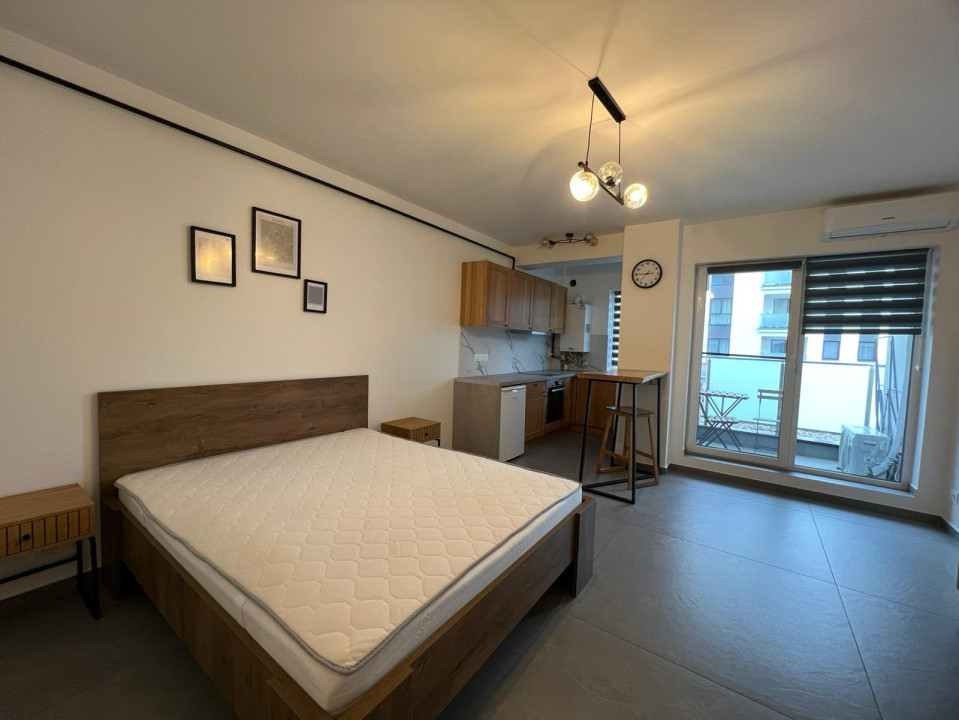 Apartament cu o Camera Petre Dulfu