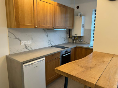 Apartament cu o Camera Petre Dulfu