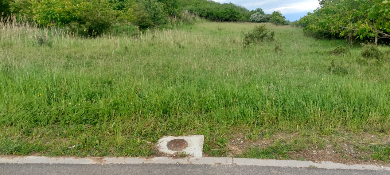 Teren Intravilan 6500mp, spre vanzare in Gusterita