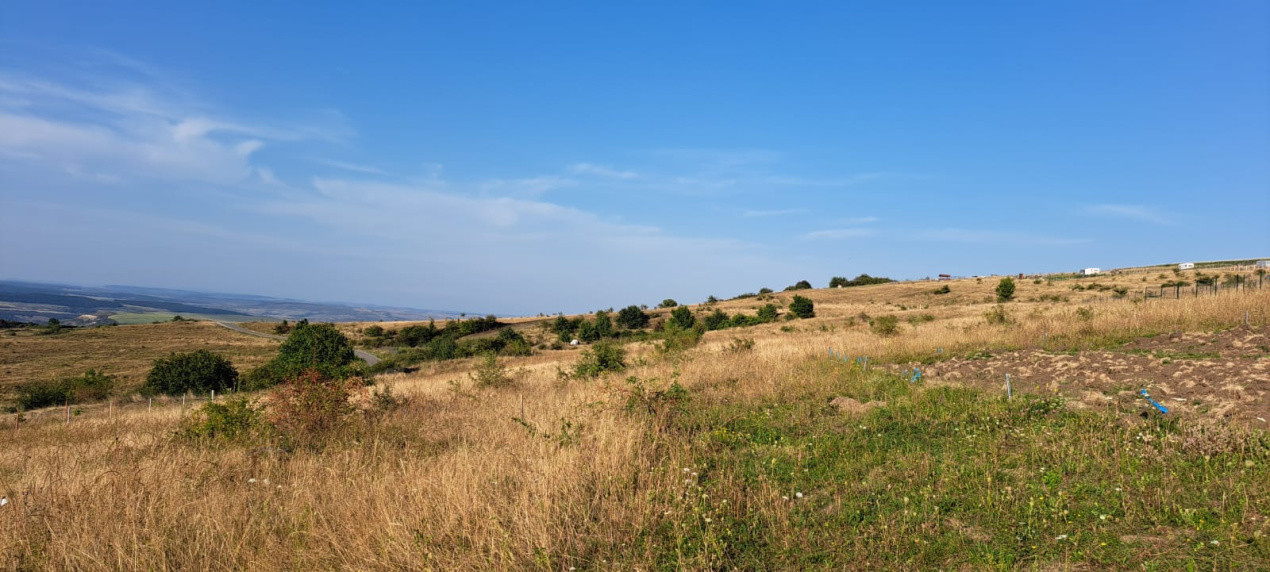 Ofertă de vânzare teren agricol, intravilan, 648 mp., Chinteni, 18000 euro