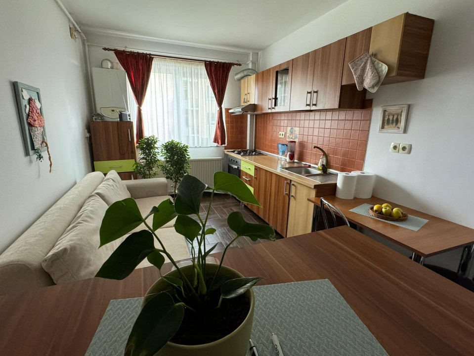Studio de inchiriat, Turnisor, pet friendly, contract anaf, 38.20 mp