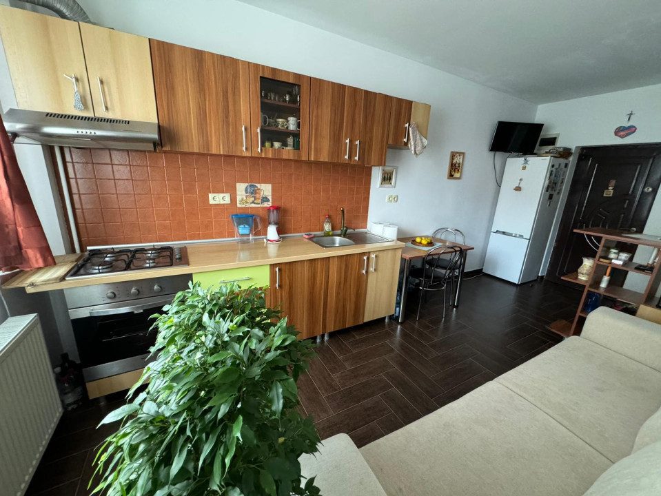Studio de inchiriat, Turnisor, pet friendly, contract anaf, 38.20 mp