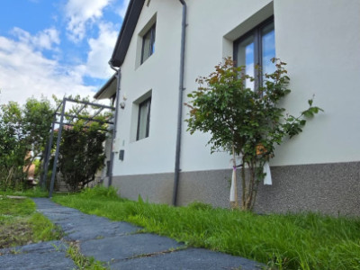 Casa individuala de vanzare In Dambul Rotund