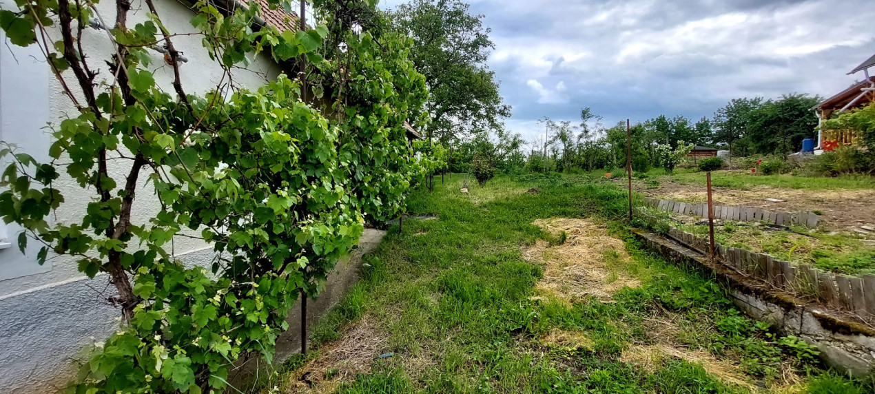 Casa 2 camere cu suprafata 50mp si teren 1300mp,în Miercurea Sibiului 