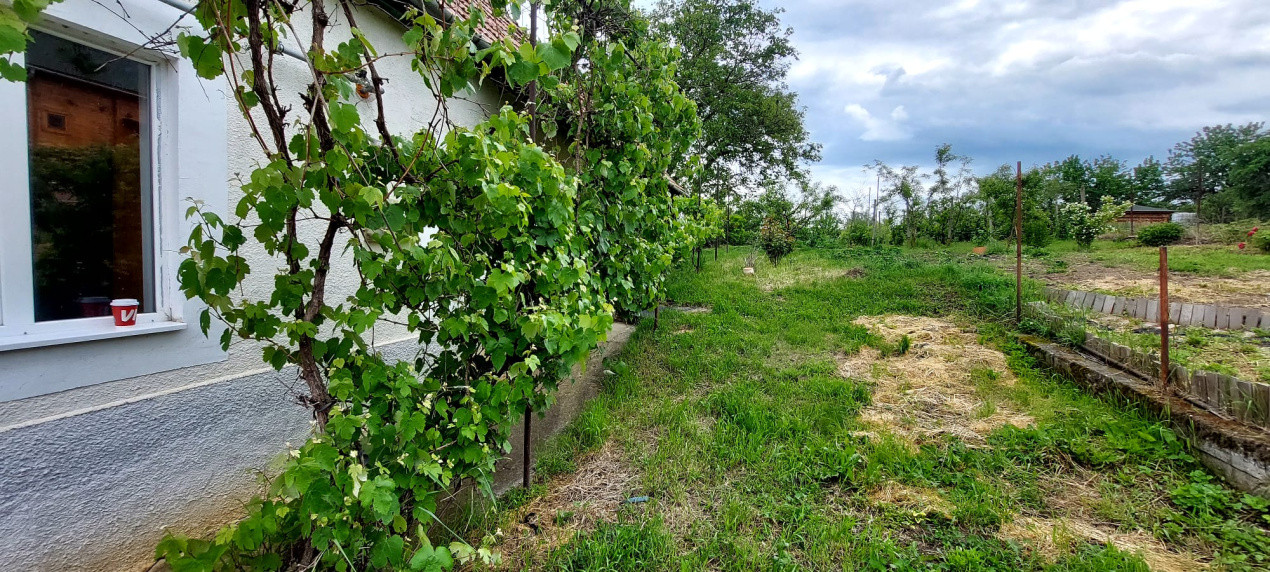 Casa 2 camere cu suprafata 50mp si teren 1300mp,în Miercurea Sibiului 