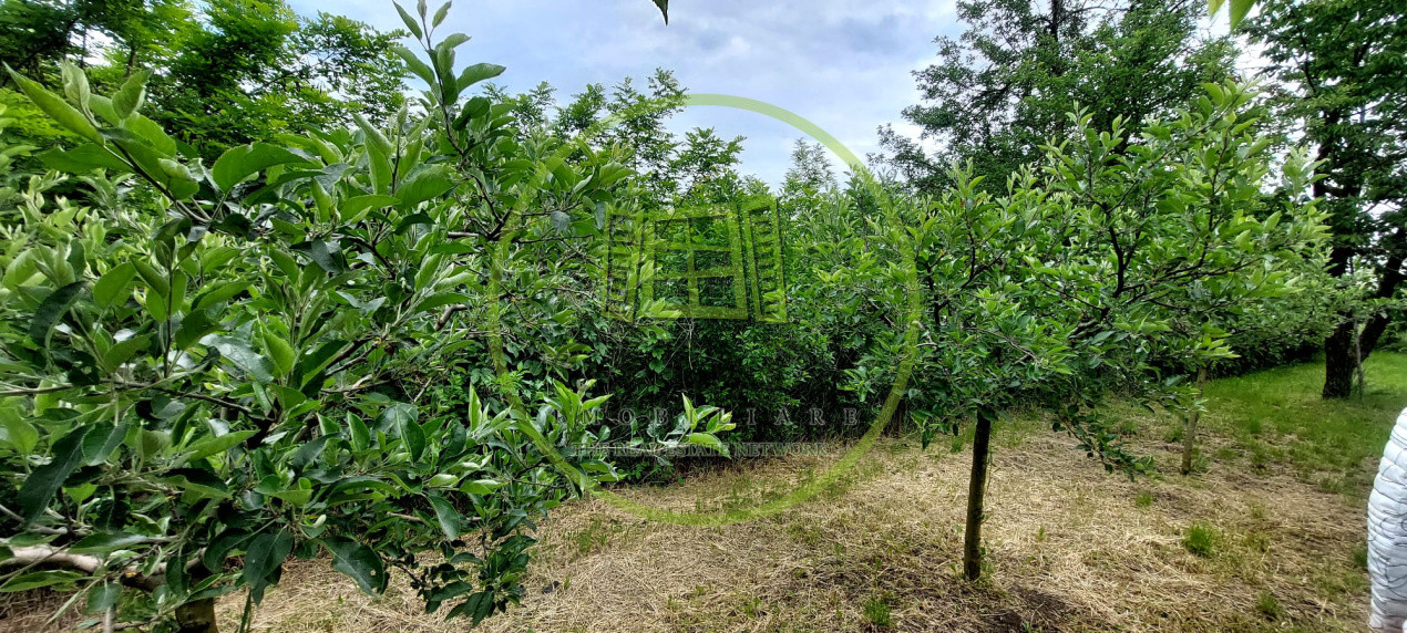 Casa 2 camere cu suprafata 50mp si teren 1300mp,în Miercurea Sibiului 