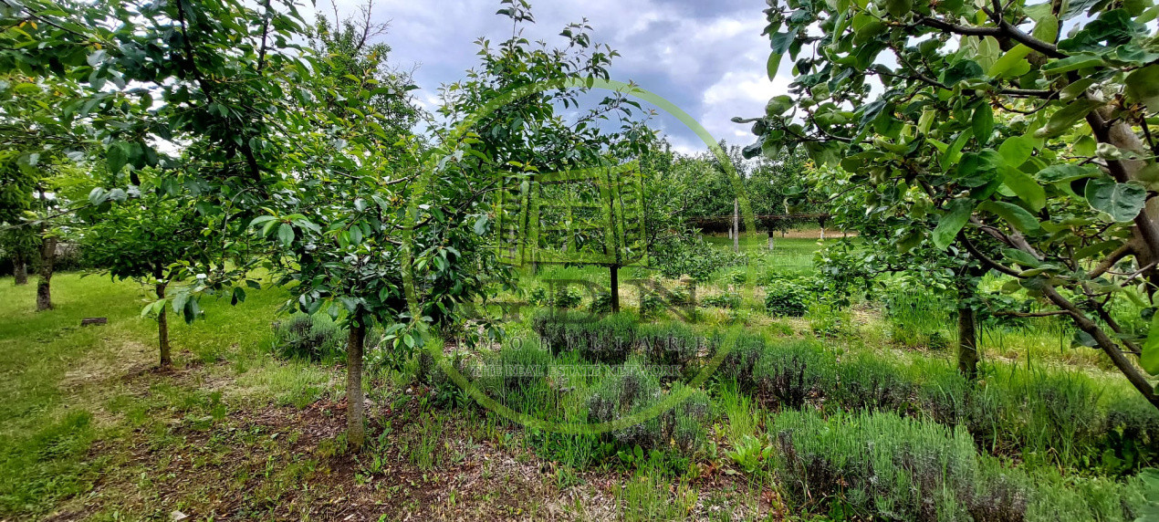 Casa 2 camere cu suprafata 50mp si teren 1300mp,în Miercurea Sibiului 