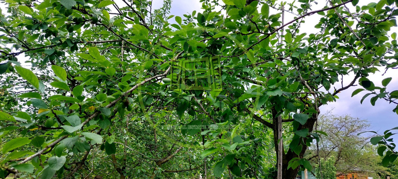 Casa 2 camere cu suprafata 50mp si teren 1300mp,în Miercurea Sibiului 