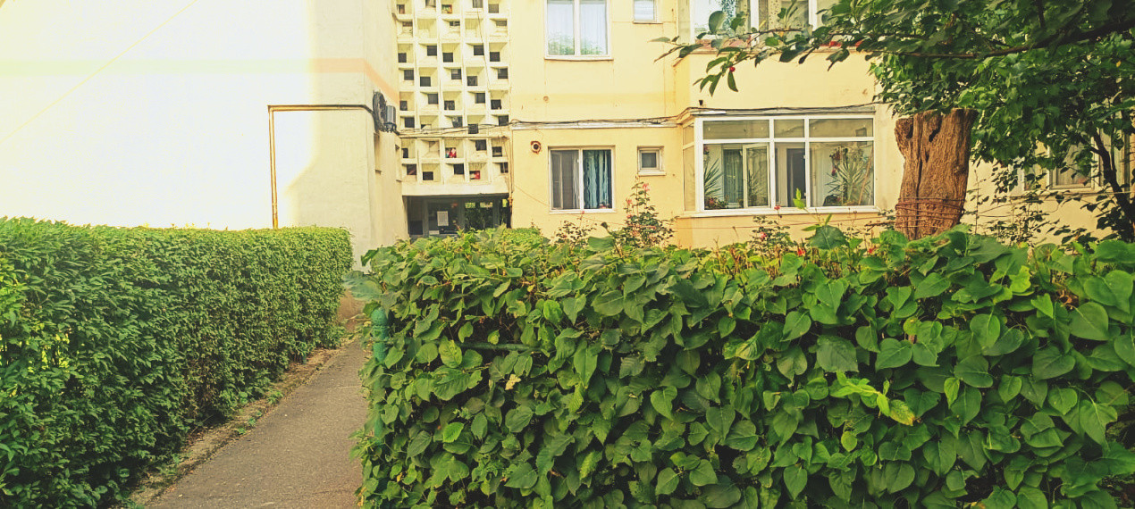 Apartament de vanzare 3 camere