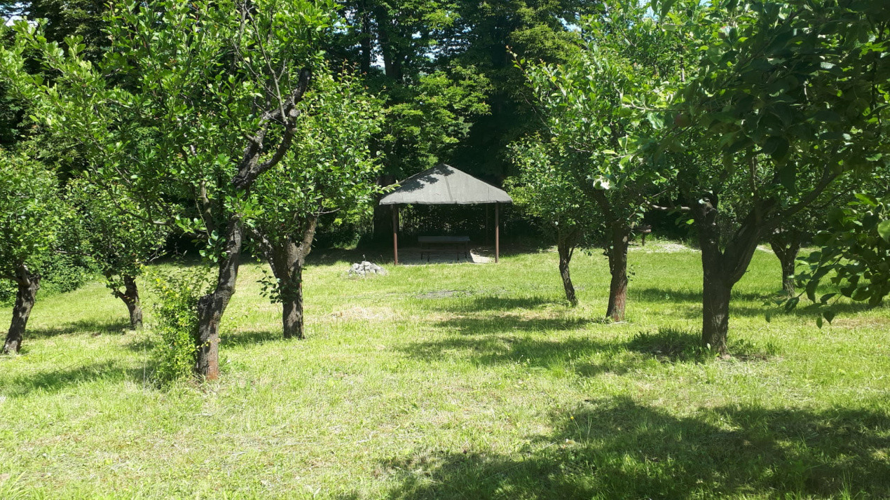 Ideal pentru relaxare sau investiție – Teren de 4200 mp în Gusterița