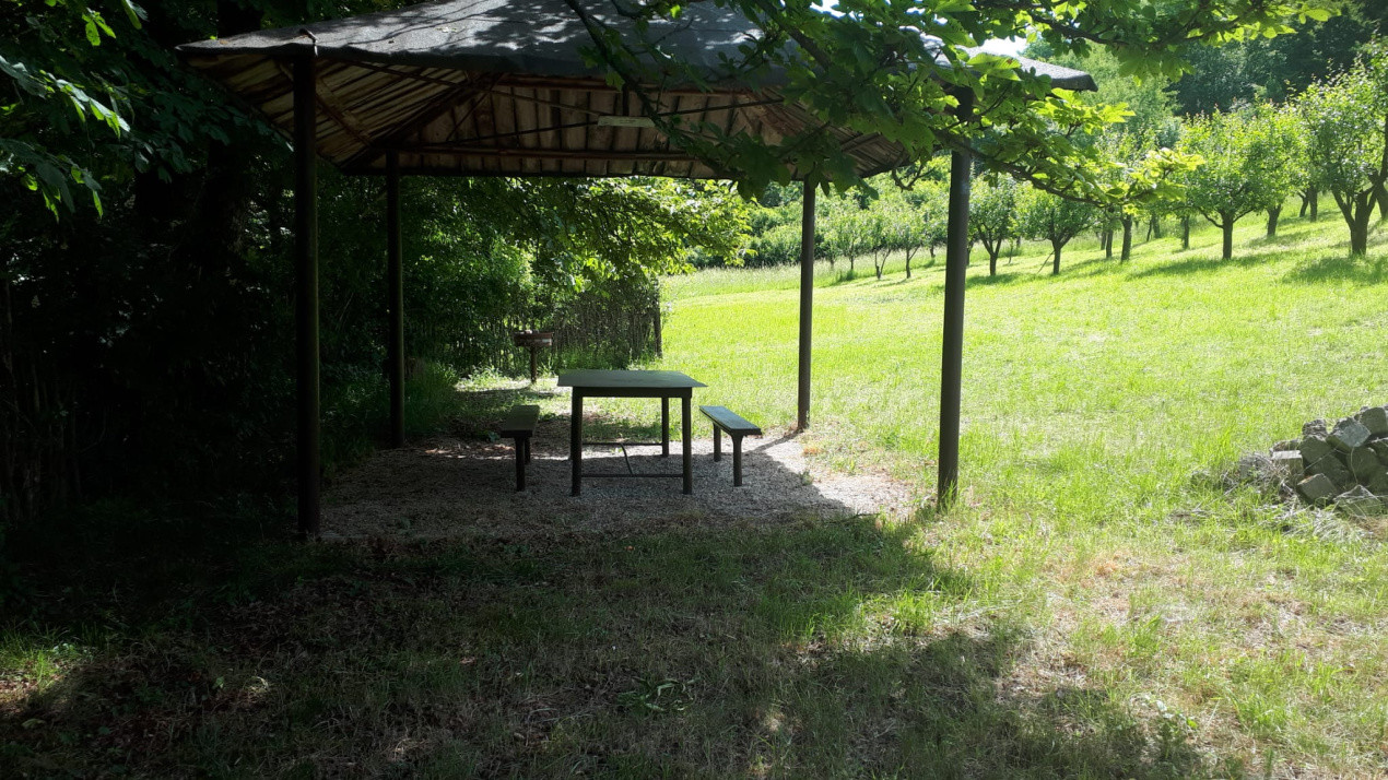 Ideal pentru relaxare sau investiție – Teren de 4200 mp în Gusterița