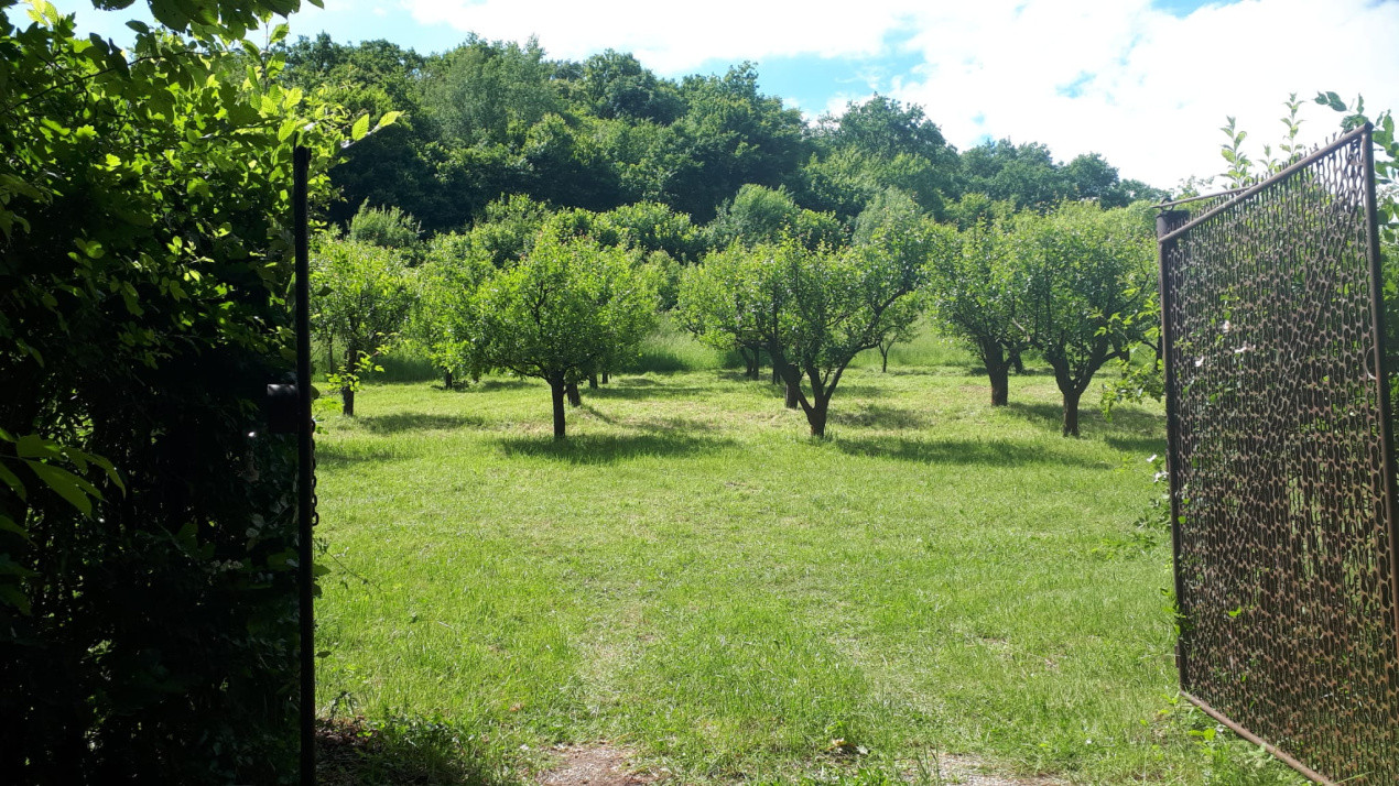 Ideal pentru relaxare sau investiție – Teren de 4200 mp în Gusterița