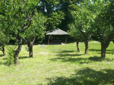 Ideal pentru relaxare sau investiție – Teren de 4200 mp în Gusterița