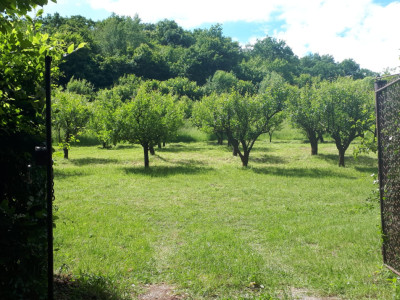  Teren extravilan  de vânzare | 4288 mp | în Gusterița 