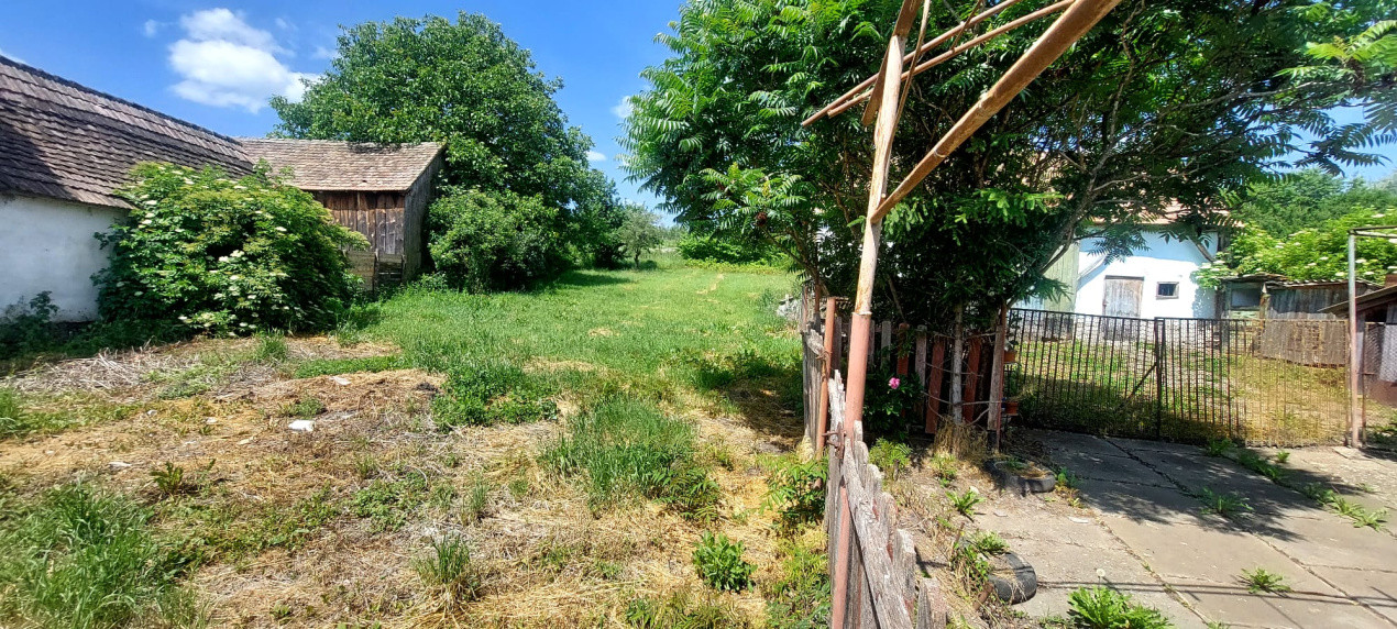Casa 4 camere cu teren de 1429mp spre vanzare in Altina