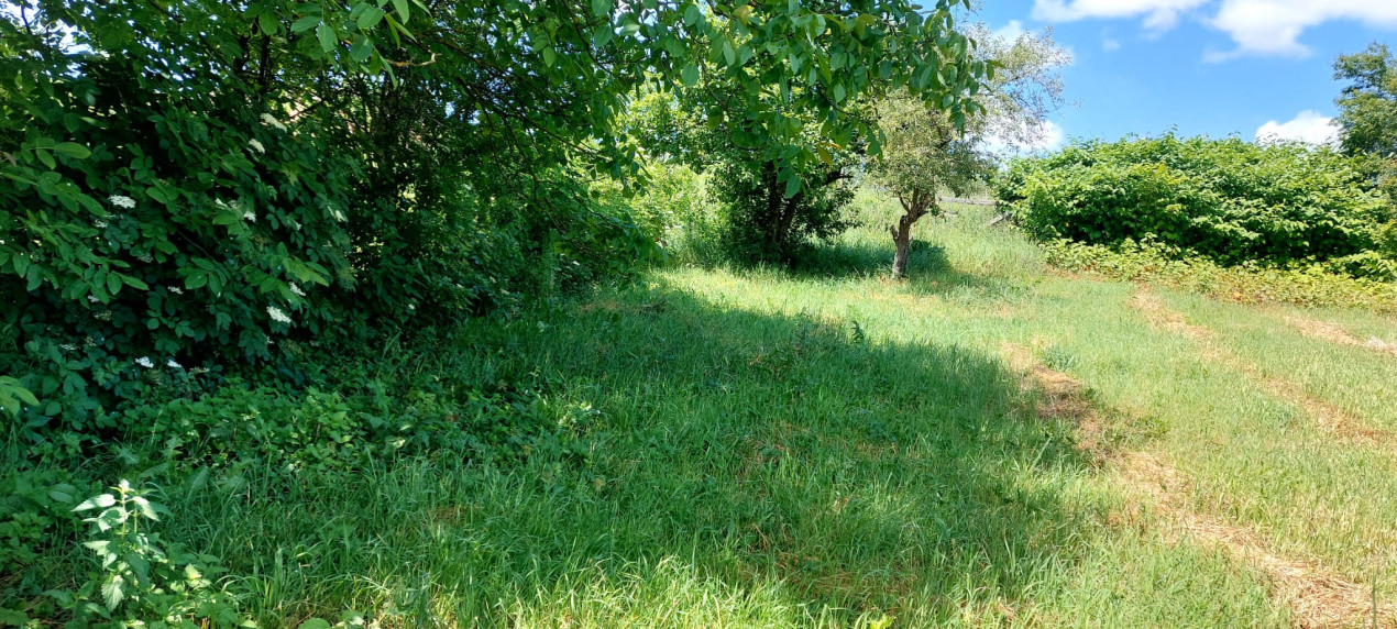 Casa 4 camere cu teren de 1429mp spre vanzare in Altina