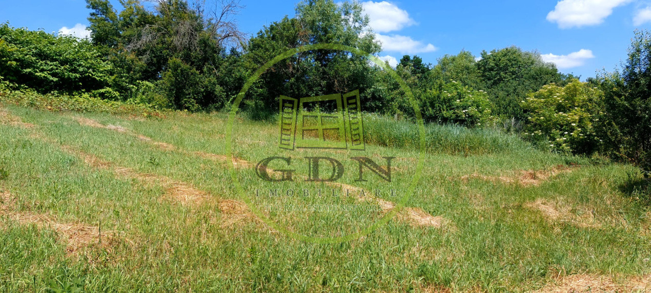 Casa 4 camere cu teren de 1429mp spre vanzare in Altina