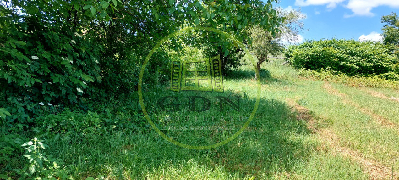 Casa 4 camere cu teren de 1429mp spre vanzare in Altina