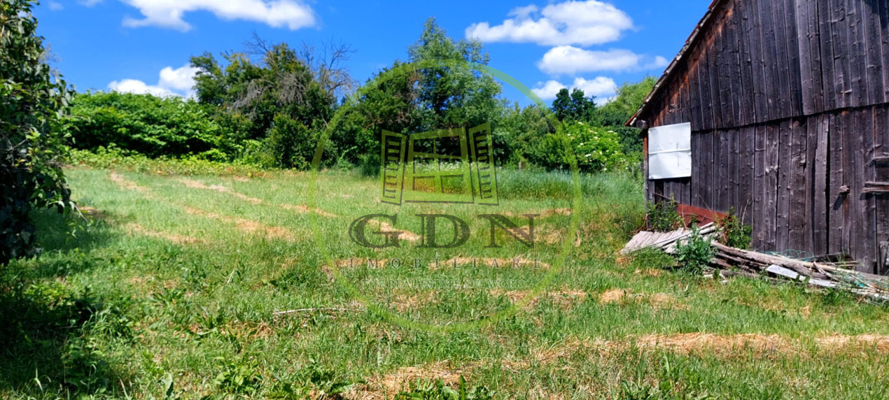 Casa 4 camere cu teren de 1429mp spre vanzare in Altina