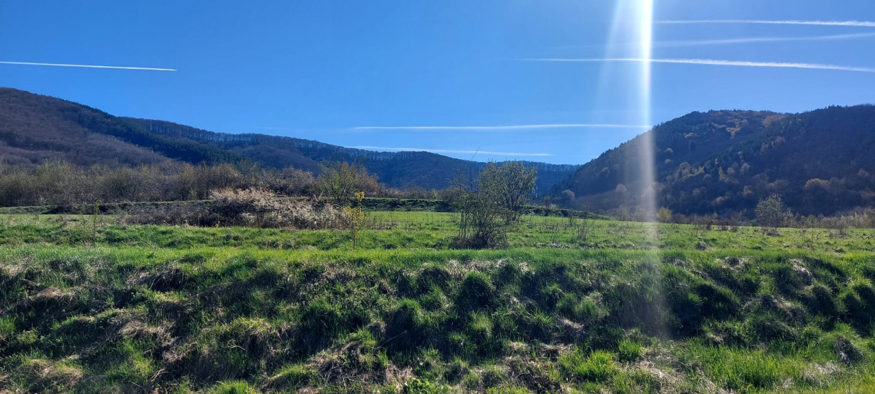 Teren 950mp extravilan spre vanzare  Poplaca