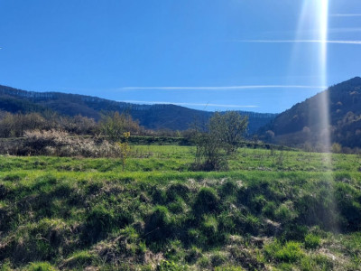Teren 950mp extravilan spre vanzare  Poplaca