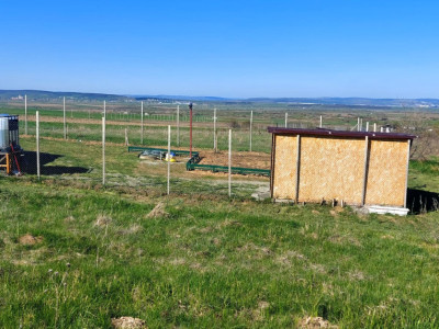 Teren 1500mp extravilan spre vanzare  Poplaca