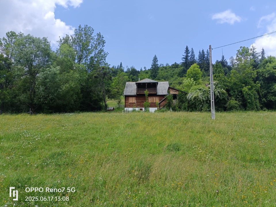 Cabană de vânzare în Lunca Bradului 