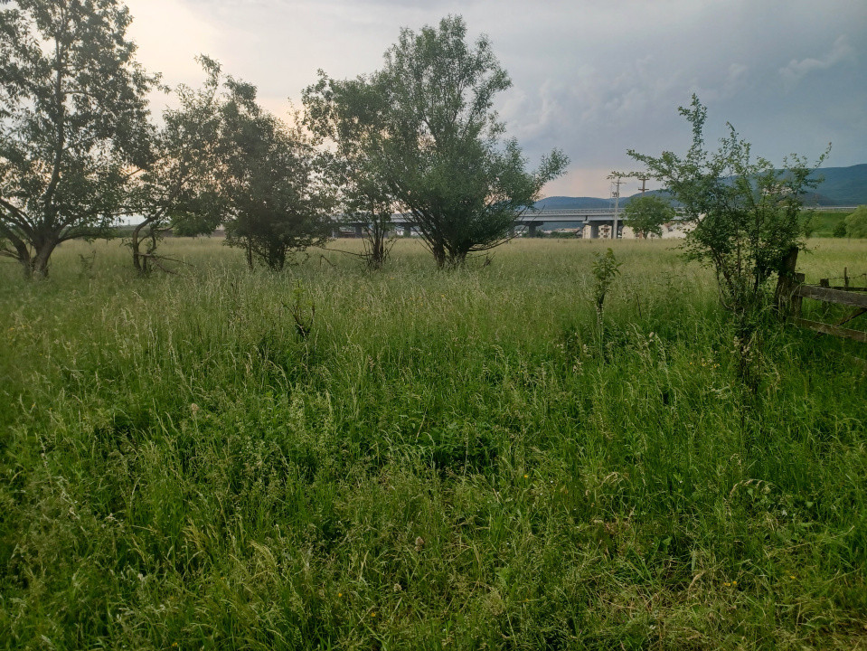 Teren intravilan Rasnov