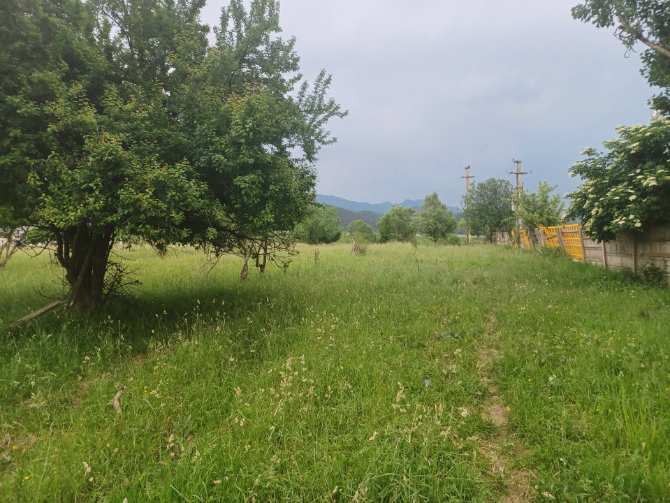 Teren intravilan Rasnov