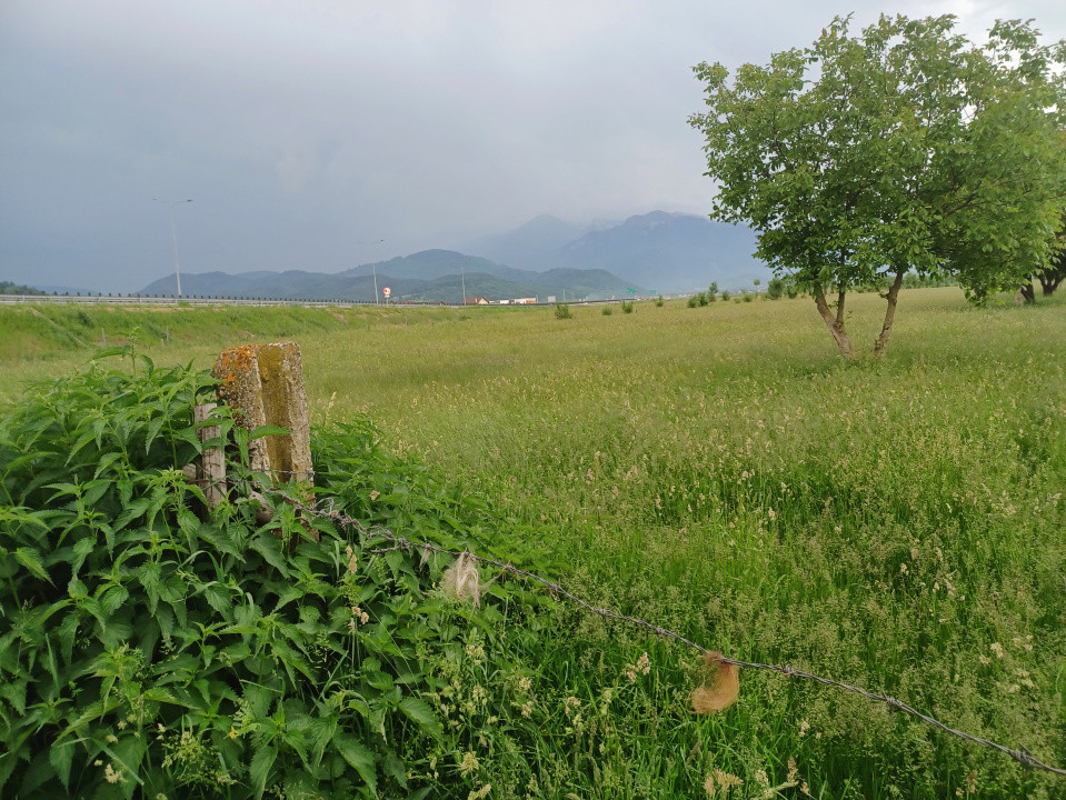 Teren intravilan Rasnov