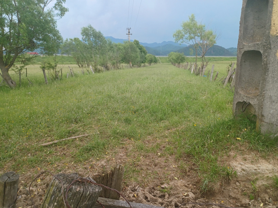 Teren intravilan Rasnov