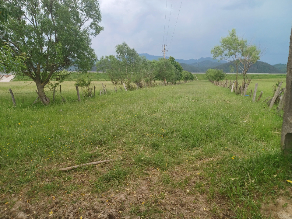 Teren intravilan Rasnov