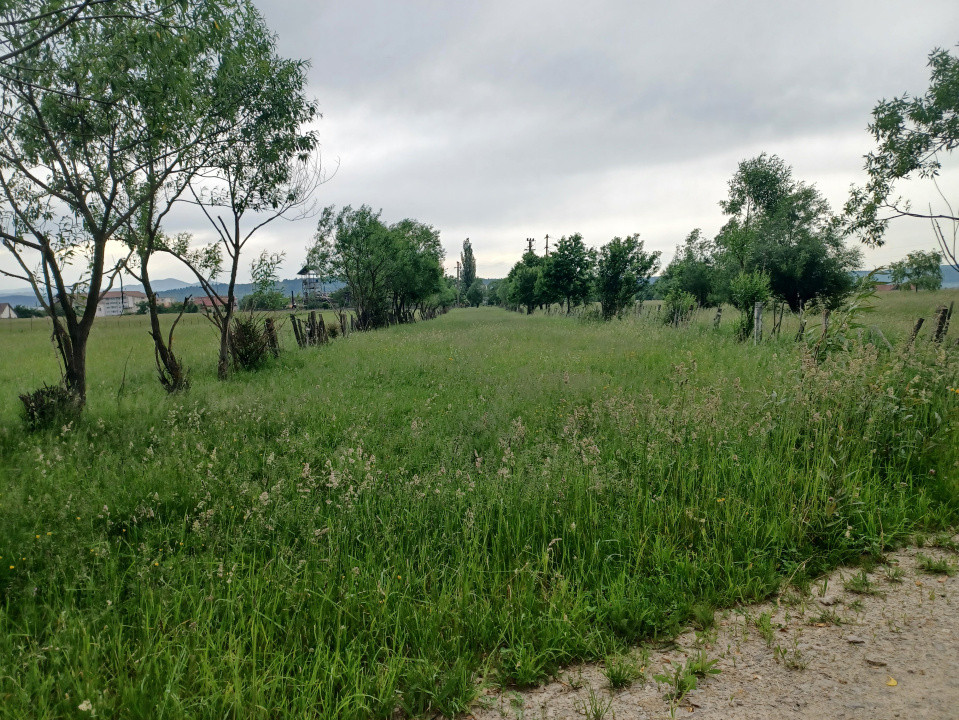 Teren intravilan Rasnov