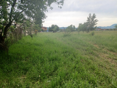 Teren intravilan Rasnov