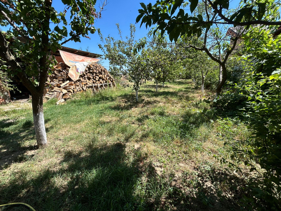 Casa P+1, 1024 mp teren, 180 mp utili, Malu Mare