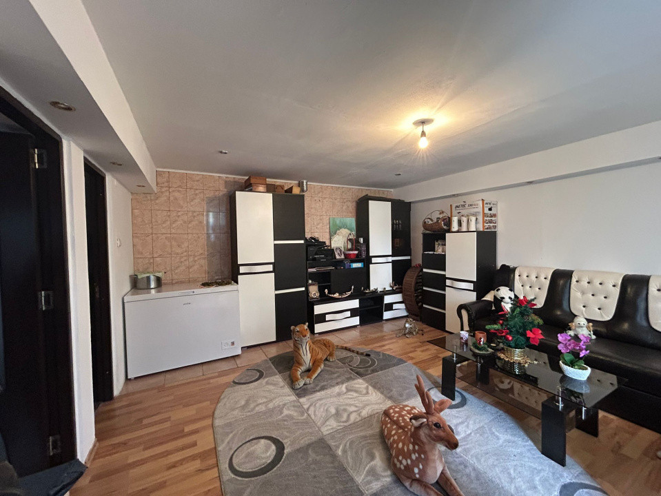 Casa plan parter, 360 mp, 49 mp utili