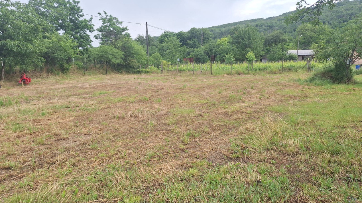 Teren intravilan de vanzare ,Comuna Brosteni 1200mp