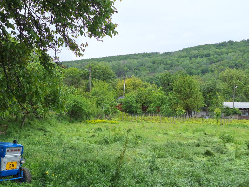 Teren intravilan de vanzare ,Comuna Brosteni 1200mp