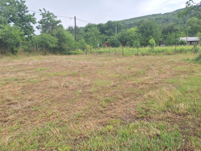 Teren intravilan de vanzare ,Comuna Brosteni 1200mp