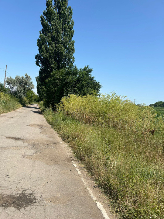Teren intravilan, 5000 MP, Isalnita