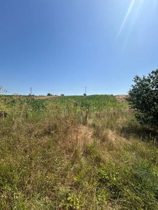 Teren intravilan, 5000 MP, Isalnita