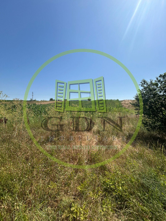 Teren intravilan, 5000 MP, Isalnita