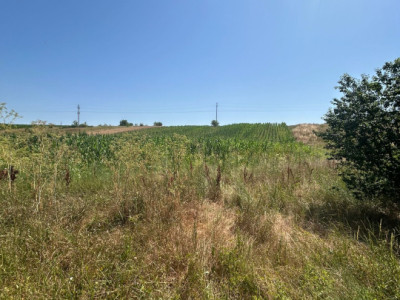 Teren intravilan, 5000 MP, Isalnita