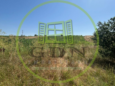 Teren intravilan, 5000 MP, Isalnita